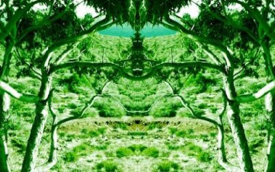 HOREJA ESTRENA NUEVO SINGLE Y VIDEOCLIP “LA CANCIÓN DEL BOSQUE”