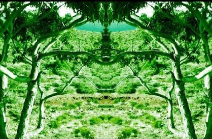 HOREJA ESTRENA NUEVO SINGLE Y VIDEOCLIP “LA CANCIÓN DEL BOSQUE”