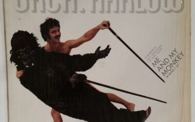 LOS 107 THE BEATLES 10: EVERYBODY’S GOT SOMETHING TO HIDE EXCEPT ME AND MY MONKEY