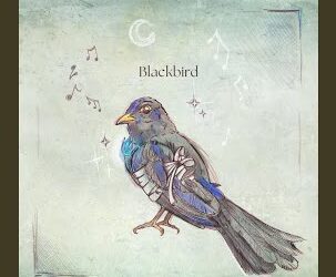 LOS 107 DE THE BEATLES 47: BLACKBIRD