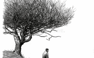 ROCK NEWS EXPRESS 61 (26 noviembre 2025)